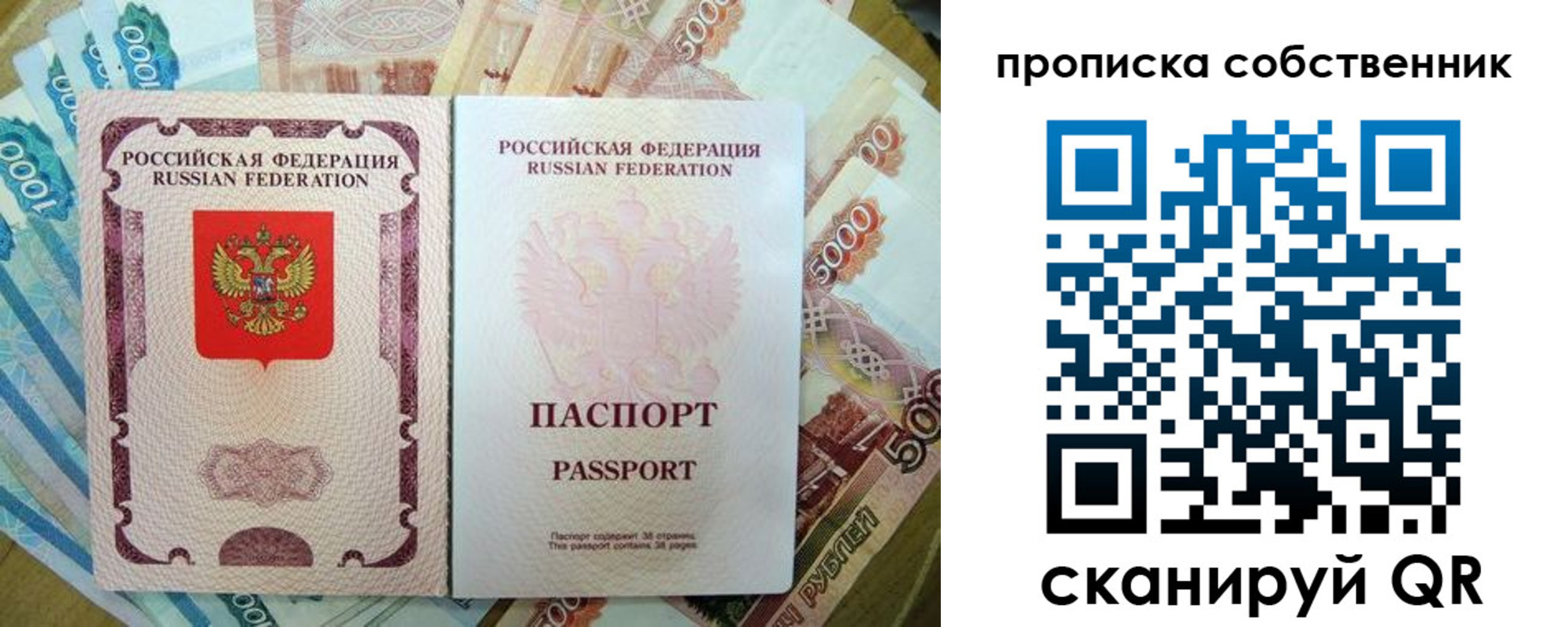 прописка в Тимашёвске